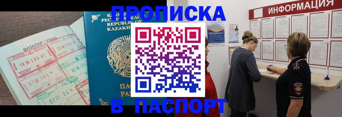 прописка в Сольцах